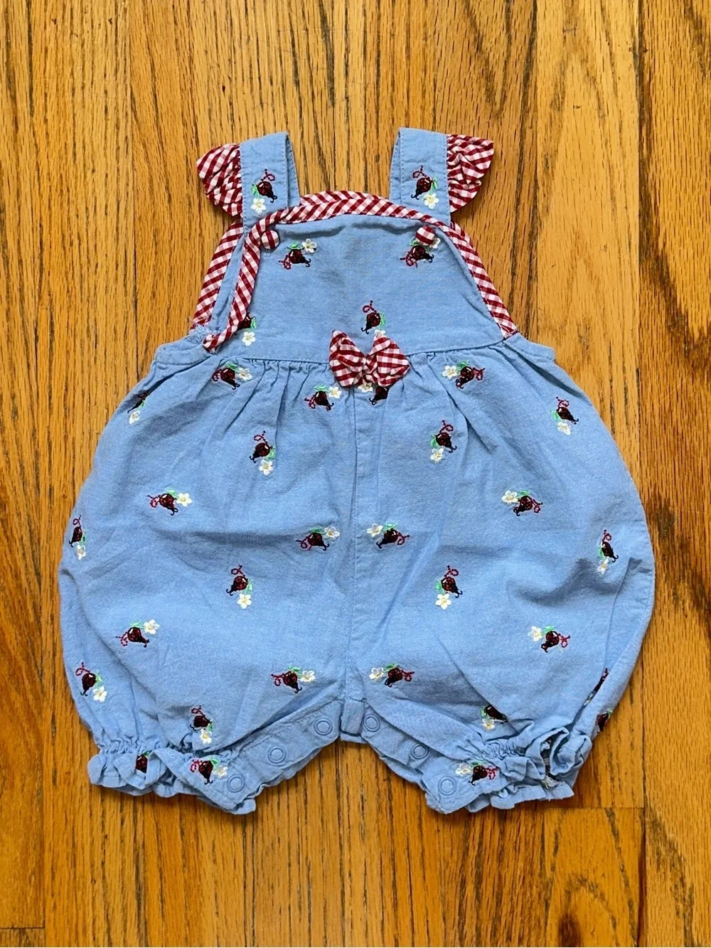 Starting Out Blue Overalls with Ladybugs
